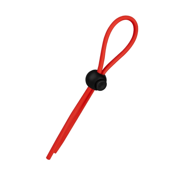 Stretchy Lasso